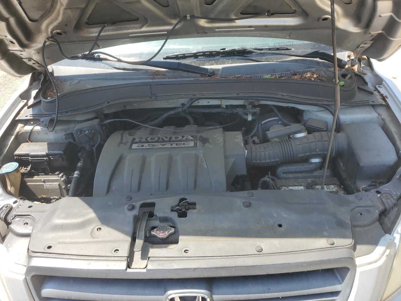 2005 Honda Pilot Ex VIN: 5FNYF18415B017350 Lot: 55407795