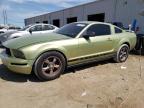 2005 Ford Mustang  for Sale in Jacksonville, FL - Rear End