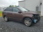2011 Kia Sorento Sx for Sale in Hillsborough, NJ - Front End