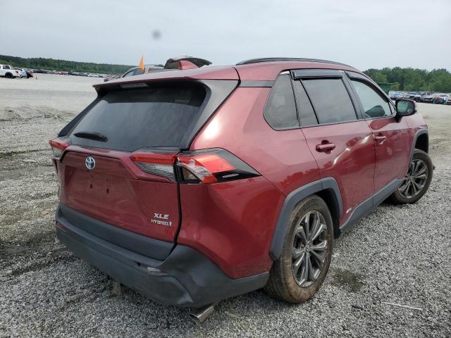  TOYOTA RAV4 2022 Czerwony