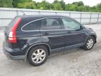 2008 Honda Cr-V Exl   zu verkaufen in Prairie Grove, AR - Front End