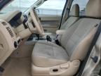 2012 Ford Escape Xlt for Sale in Appleton, WI - Front End
