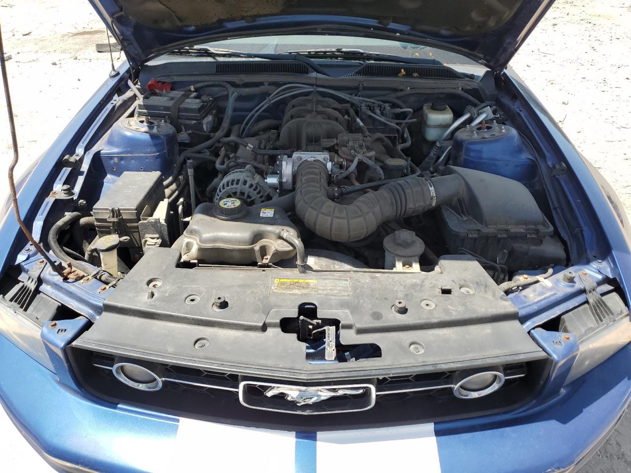 2008 Ford Mustang VIN: 1ZVHT80N685206259 Lot: 56911185