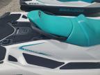 2023 Seadoo Gtx 130 на продаже в Arcadia, FL - Minor Dent/Scratches