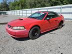 2003 Ford Mustang Gt for Sale in Riverview, FL - Minor Dent/Scratches