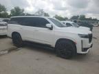 2021 Cadillac Escalade Sport на продаже в Bridgeton, MO - Hail