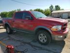2010 Dodge Ram 1500  продається в Pekin, IL - Rear End