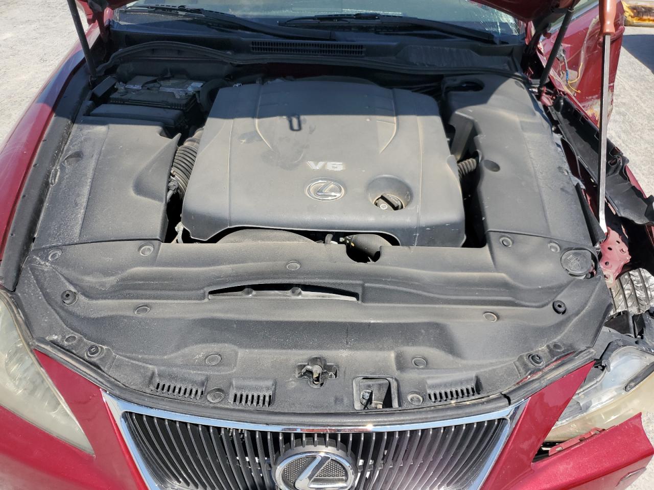 2008 Lexus Is 250 VIN: JTHCK262982019950 Lot: 56975195