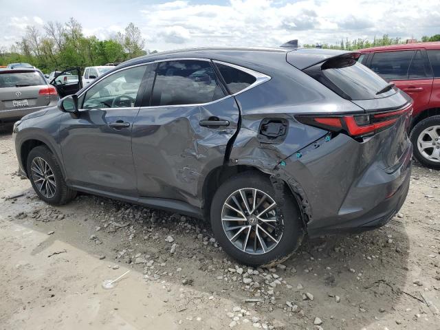  LEXUS NX 350H 2023 Szary