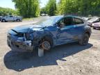 2024 Subaru Crosstrek Wilderness for Sale in Marlboro, NY - All Over