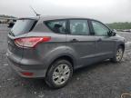 2013 Ford Escape S en Venta en York Haven, PA - Rear End