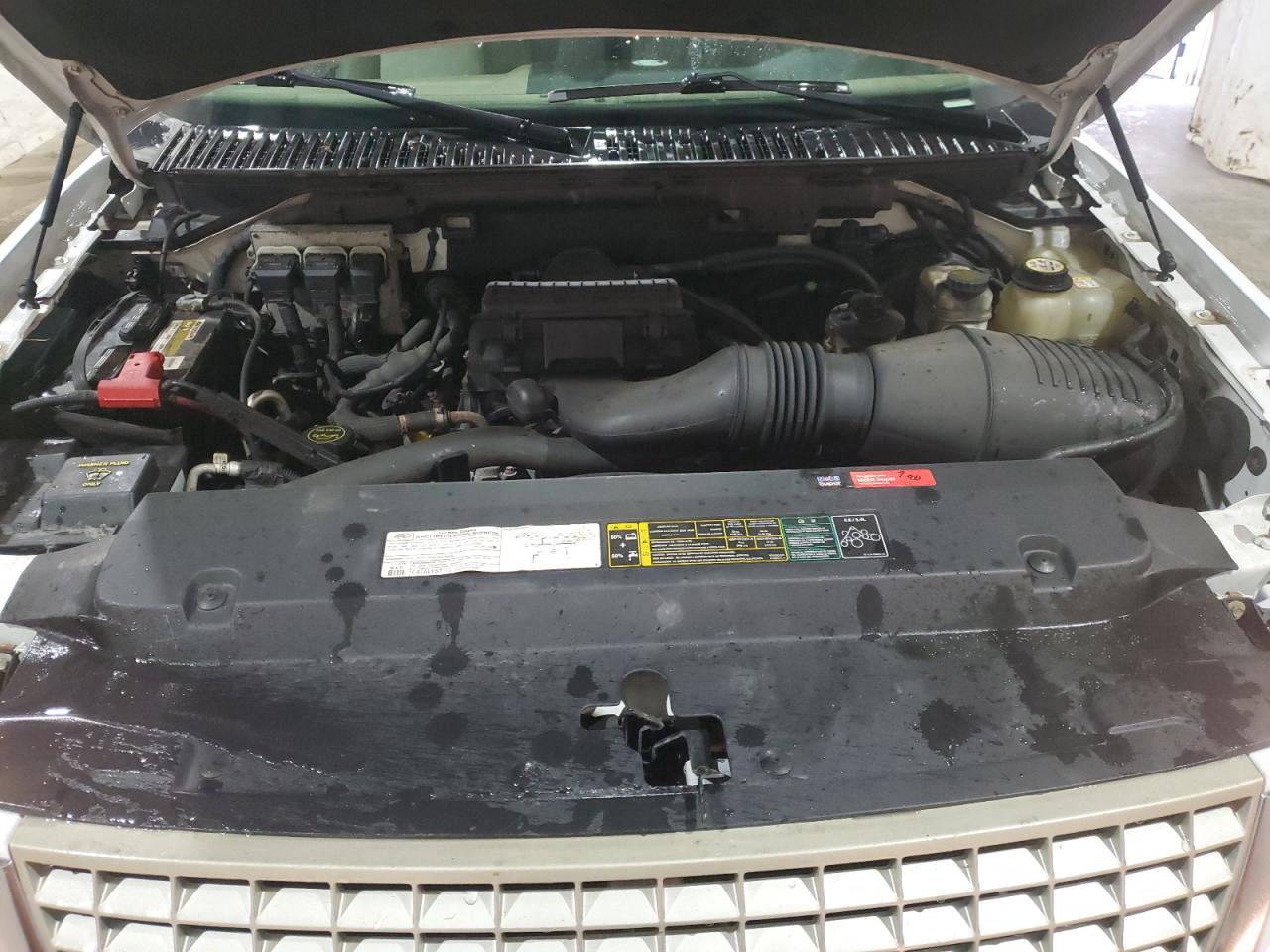 2005 Ford Expedition Eddie Bauer VIN: 1FMFU18515LA36303 Lot: 58073205
