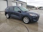 Cahokia Heights, IL에서 판매 중인 2021 Ford Escape Se - Rear End