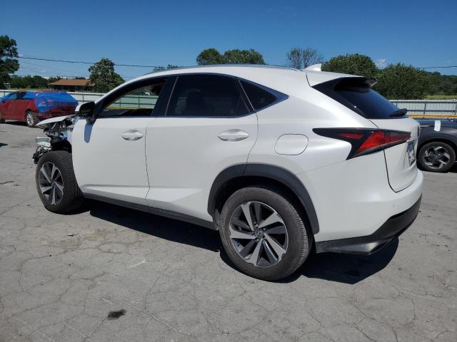  LEXUS NX 2019 Белы