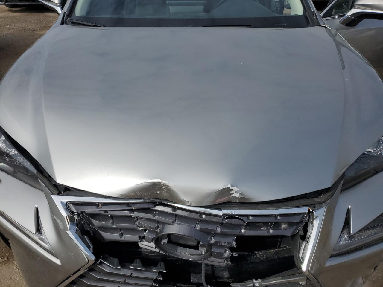 2020 Lexus Nx 300 VIN: JTJGARDZ3L2224104 Lot: 57205545