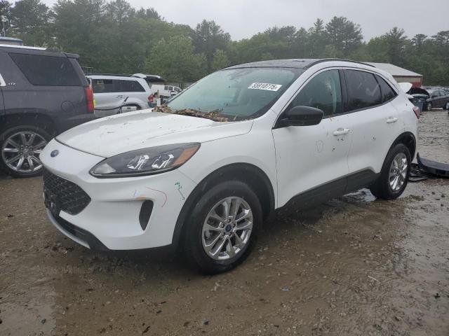  FORD ESCAPE 2022 Белый