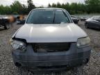 2006 Ford Escape Xlt იყიდება Memphis-ში, TN - Front End