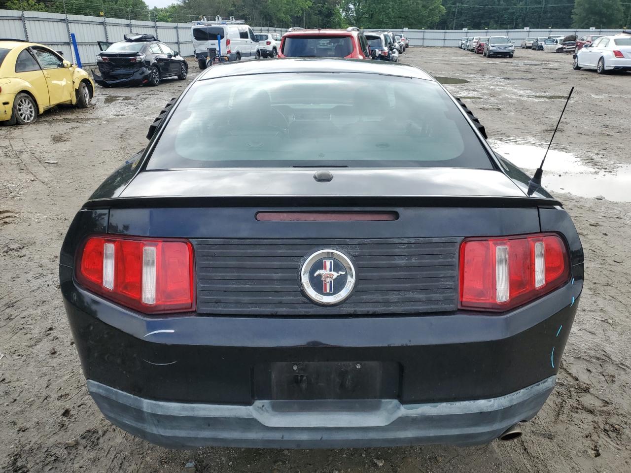 2010 Ford Mustang VIN: 1ZVBP8AN7A5162318 Lot: 56390695