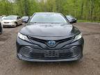 2020 TOYOTA CAMRY LE à vendre chez Copart ON - COOKSTOWN