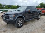 2014 Ford F150 Supercrew იყიდება Theodore-ში, AL - Rear End