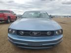 2006 Ford Mustang  for Sale in Brighton, CO - Hail