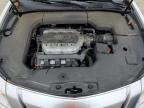 2021 Acura Tl  for Sale in Mendon, MA - Side