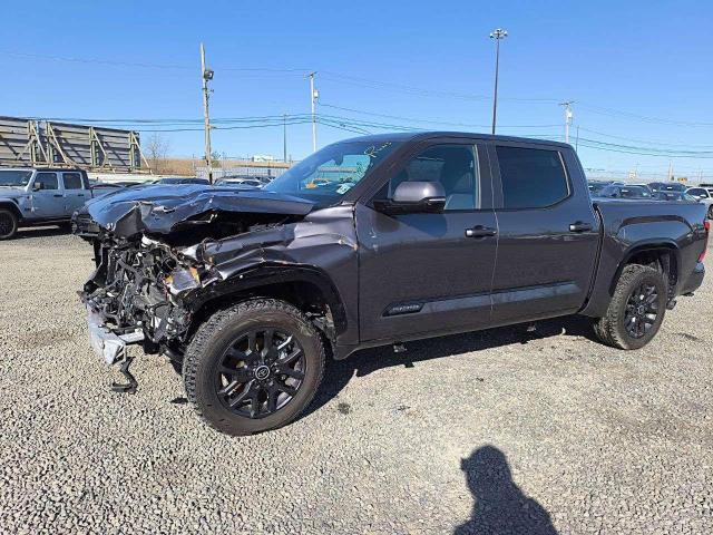  TOYOTA TUNDRA 2024 Gray