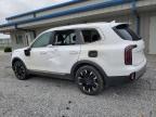 2023 Kia Telluride Sx for Sale in Earlington, KY - Side