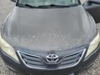 2010 Toyota Camry Base იყიდება Memphis-ში, TN - Rear End