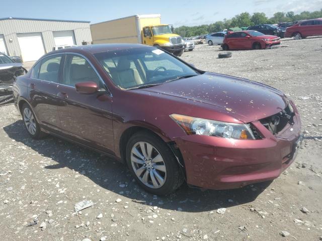 Sedans HONDA ACCORD 2012 Burgundy