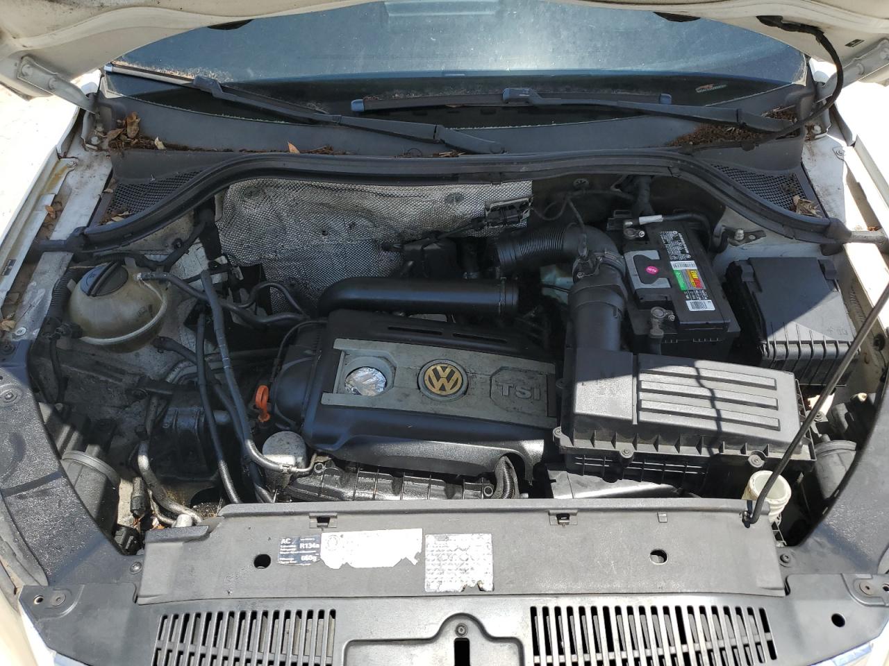 2009 Volkswagen Tiguan S VIN: WVGAV75N59W545099 Lot: 56583375