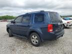 2011 Honda Pilot Exln na sprzedaż w Memphis, TN - Front End