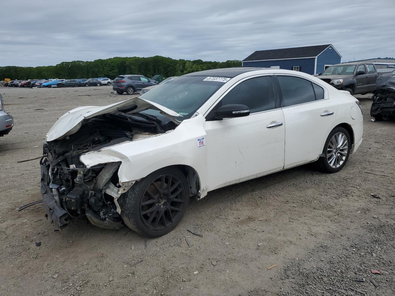 2009 Nissan Maxima S zu verkaufen in Assonet, MA - Front End