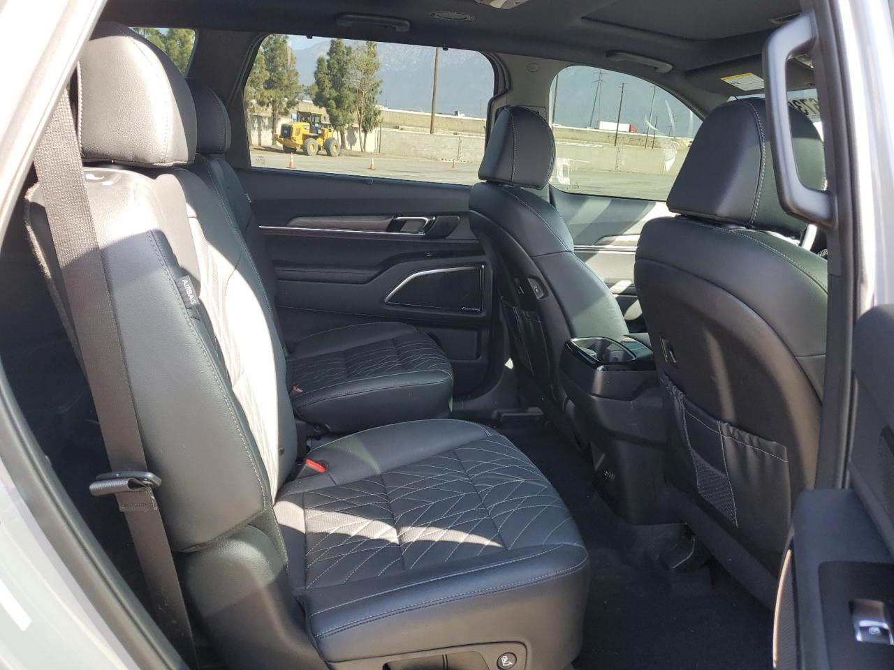 2024 Kia Telluride Sx VIN: 5XYP5DGC5RG517485 Lot: 56673085