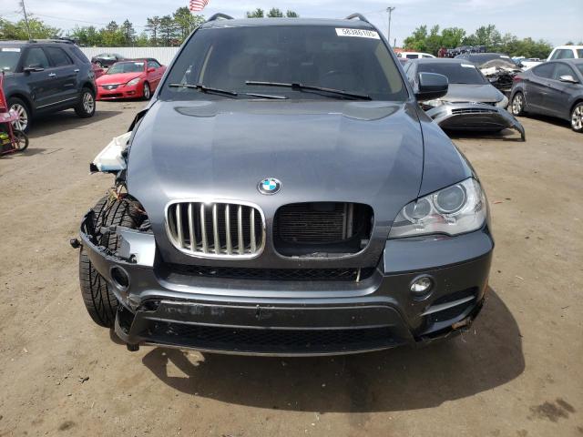 Parquets BMW X5 2013 Gray