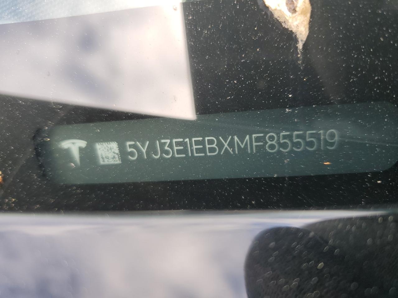 2021 Tesla Model 3 VIN: 5YJ3E1EBXMF855519 Lot: 56676055