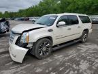 2011 Cadillac Escalade Esv Platinum   for Sale in Ellwood City, PA - Front End