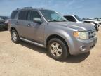 2008 Ford Escape Xlt للبيع في San Antonio، TX - Hail
