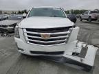 2020 Cadillac Escalade Premium Luxury for Sale in Spartanburg, SC - Front End