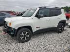 2020 Jeep Renegade Trailhawk zu verkaufen in Wayland, MI - Front End