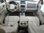 2010 Ford Escape Xlt for Sale in Pekin, IL - Front End