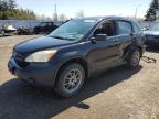 2007 HONDA CR-V LX   for sale at Copart ON - TORONTO