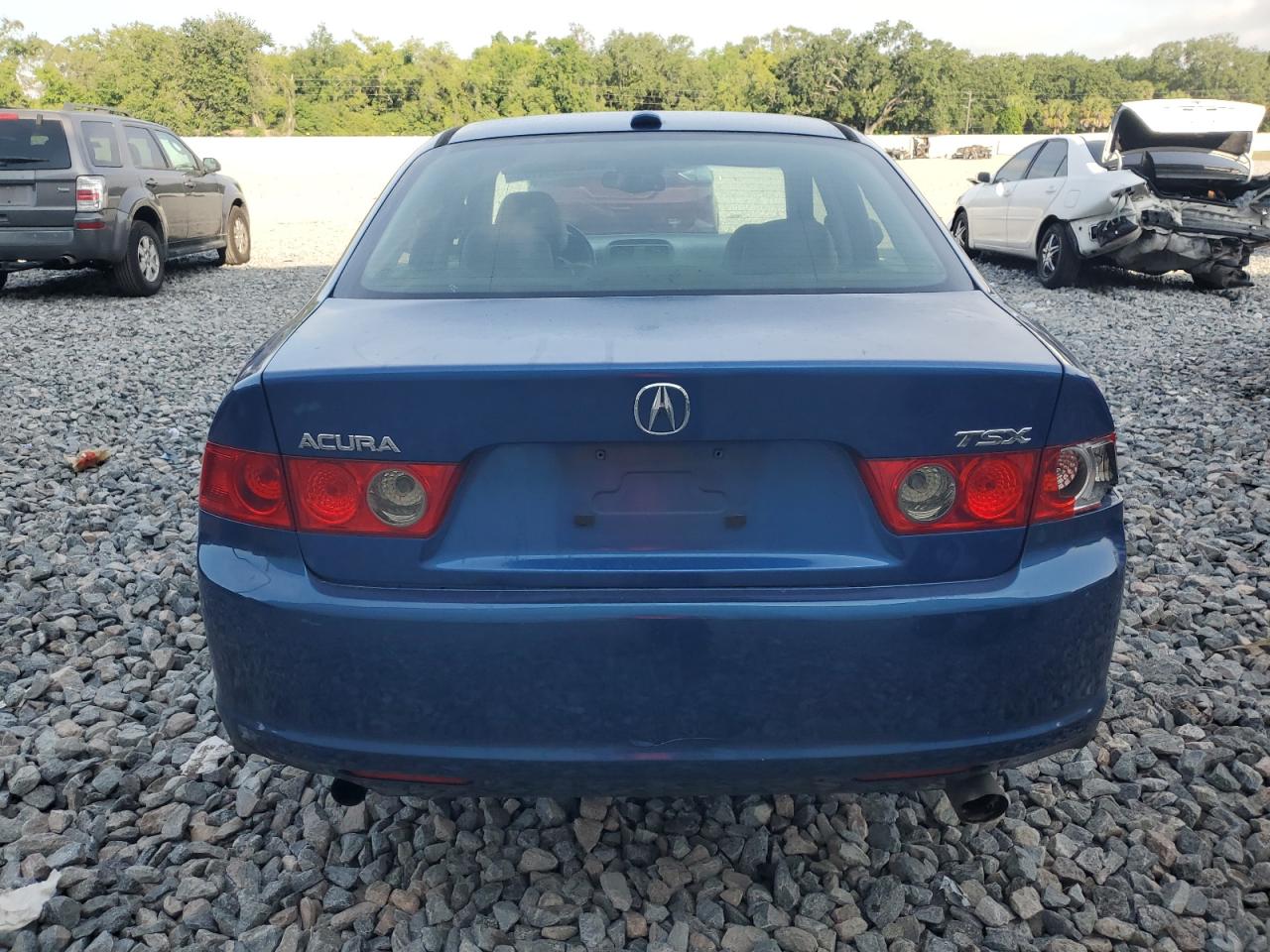 2006 Acura Tsx VIN: JH4CL96896C004429 Lot: 55854195