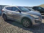 2016 Hyundai Santa Fe Sport  for Sale in Reno, NV - Minor Dent/Scratches