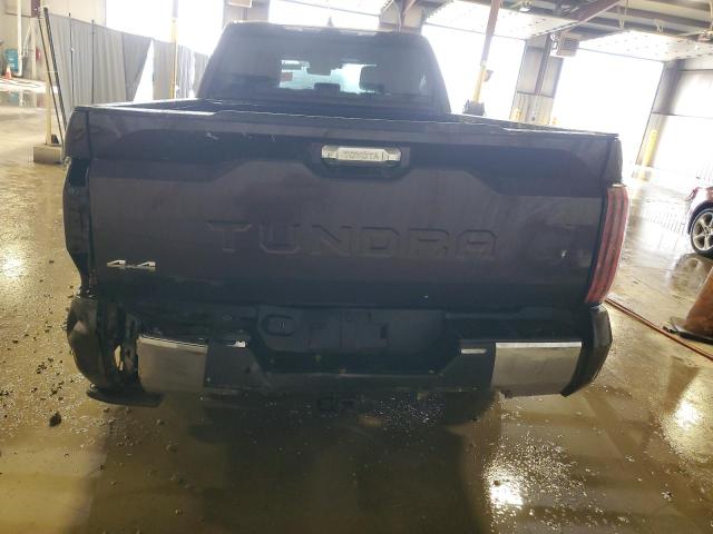  TOYOTA TUNDRA 2022 Brown