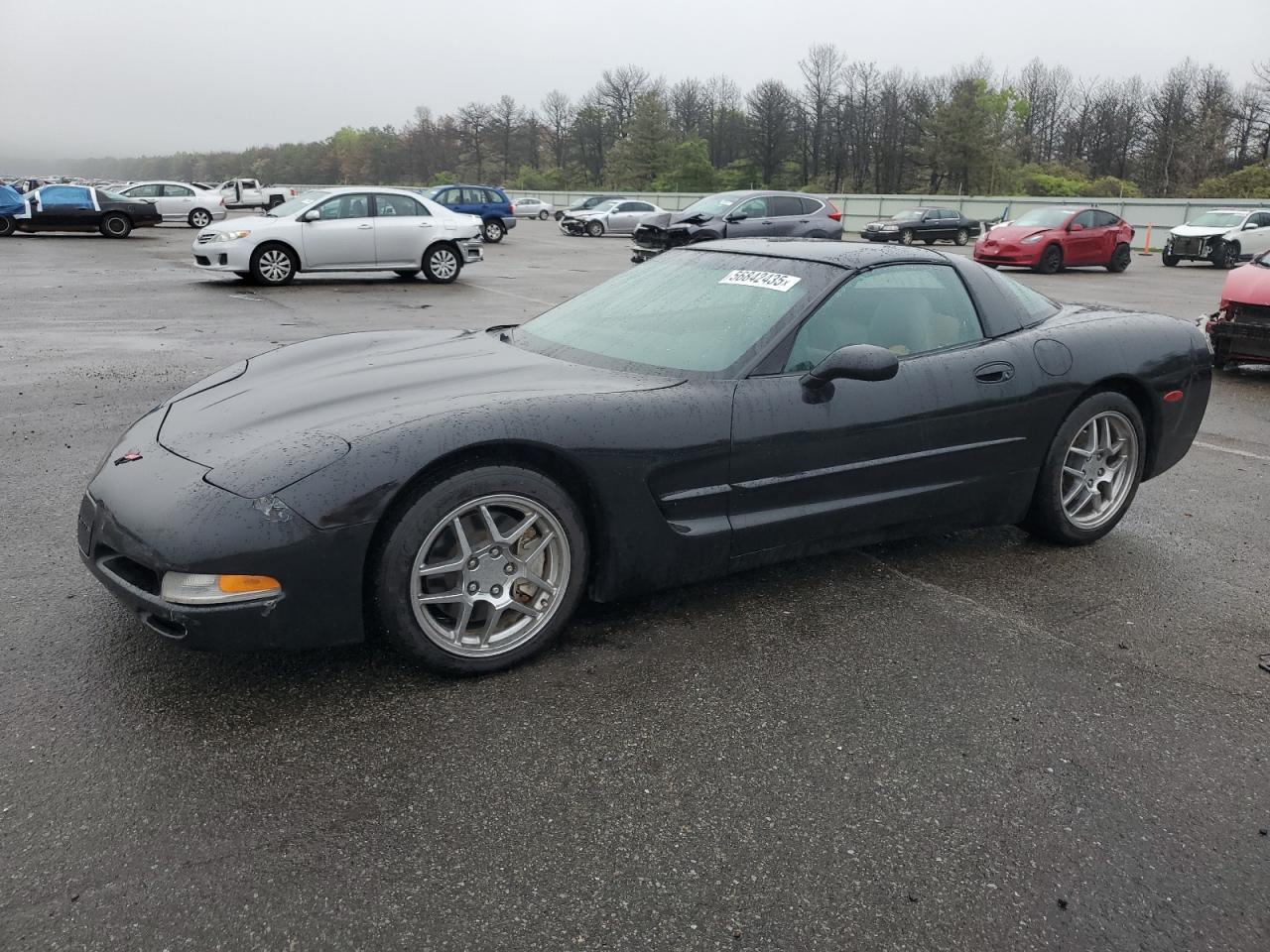 1998 Chevrolet Corvette for Sale in Brookhaven, NY - Front End