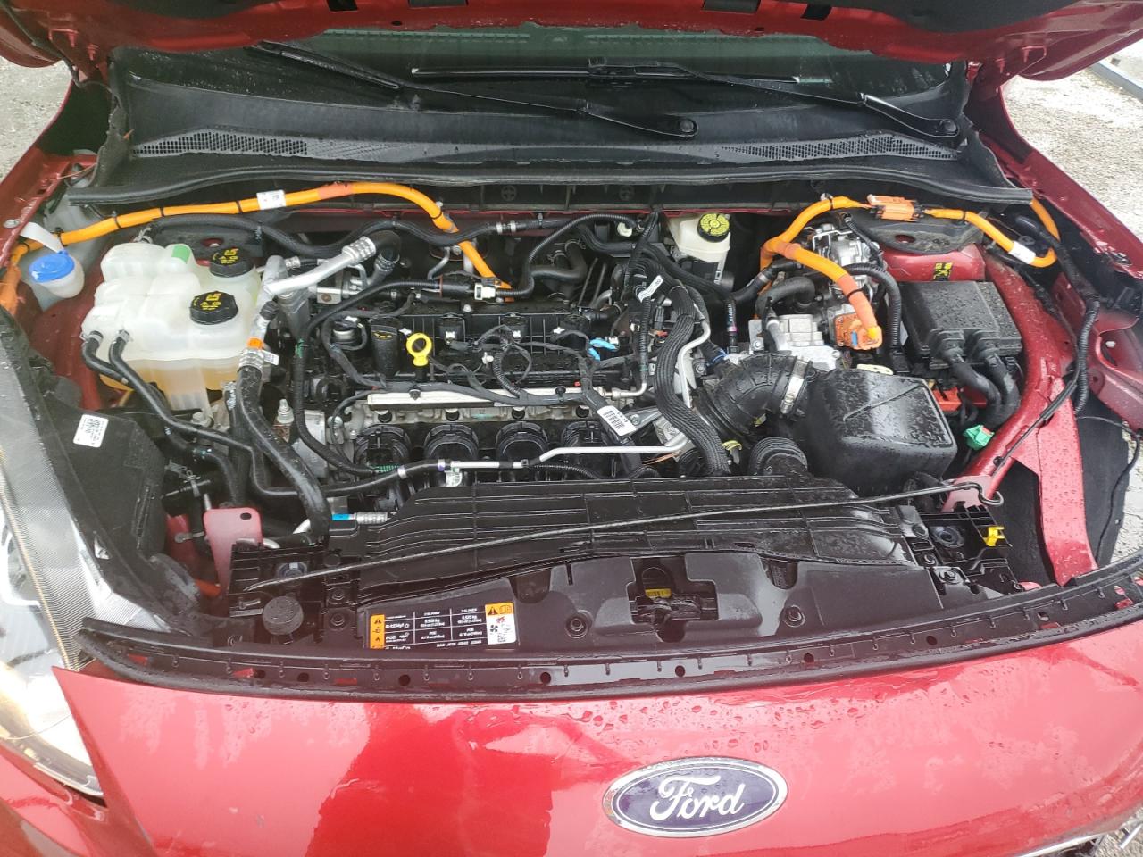 2022 Ford Escape Sel VIN: 1FMCU0KZ2NUA85545 Lot: 55497895