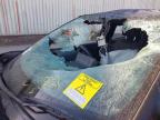 2024 TOYOTA YARIS CROS for sale at Copart PETERLEE