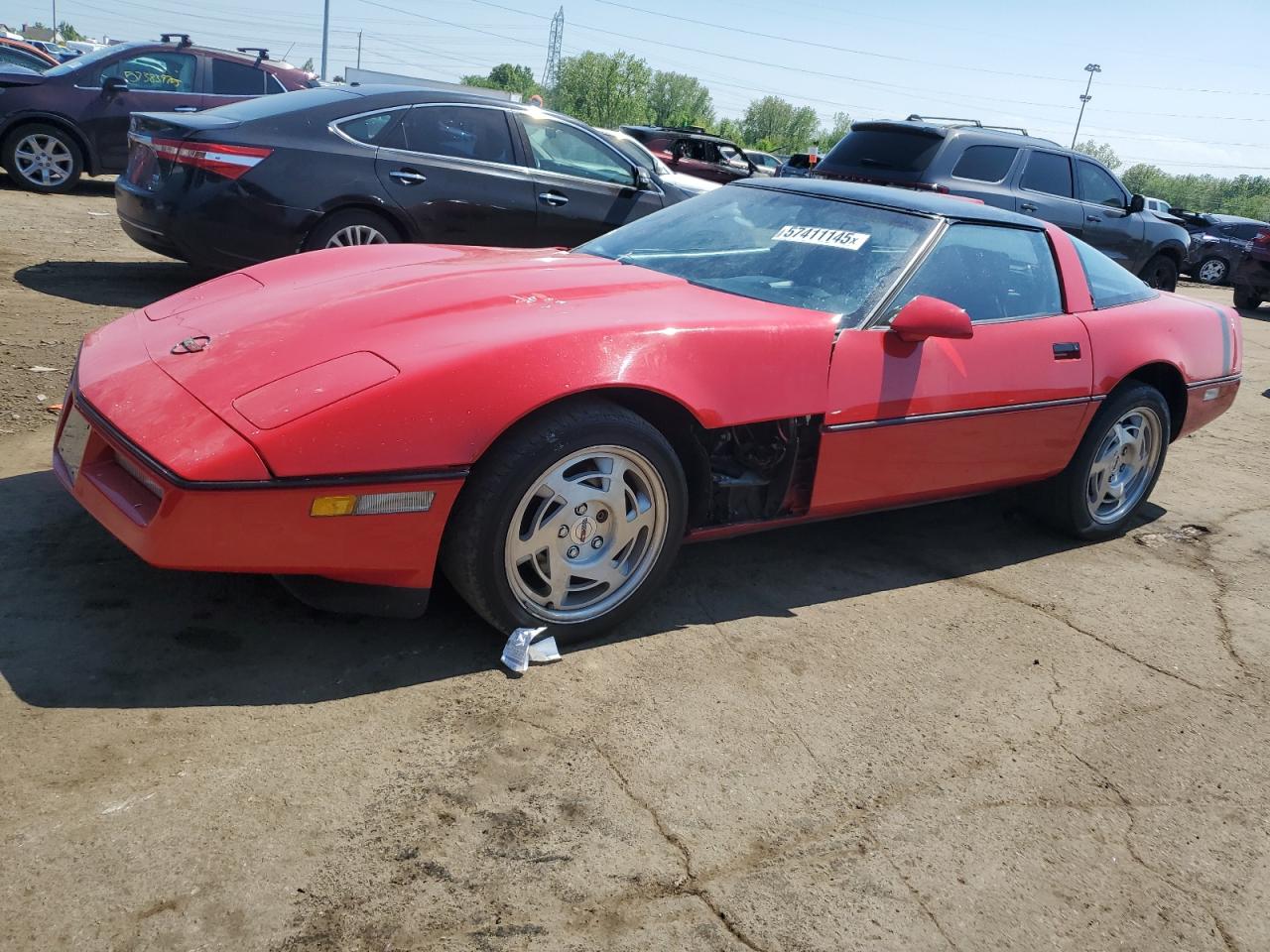 1990 Chevrolet Corvette VIN: 1G1YY2385L5116531 Lot: 57411145