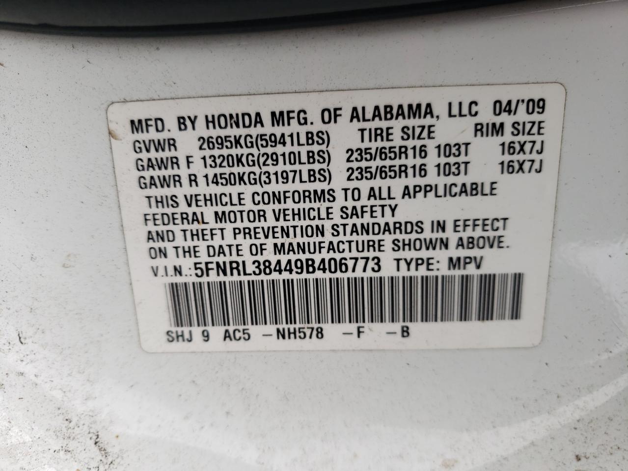 2009 Honda Odyssey Ex VIN: 5FNRL38449B406773 Lot: 55761815